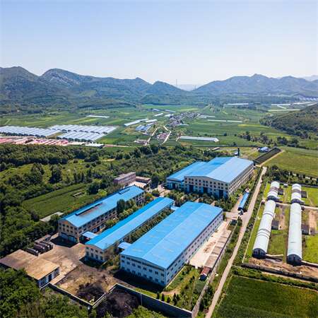 product-450-450 product-450-450